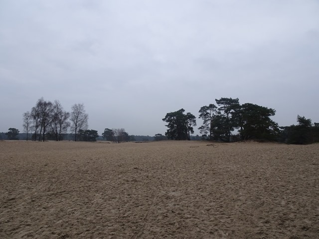 DSC00667