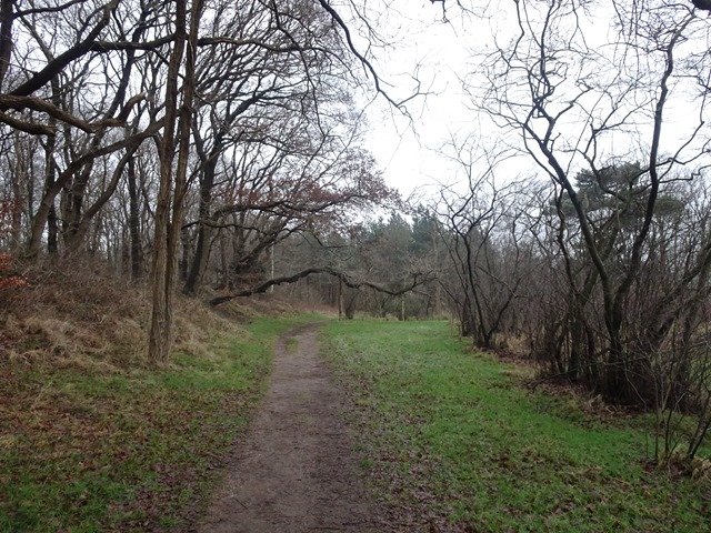 DSC00688