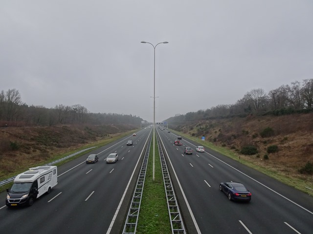 DSC00705