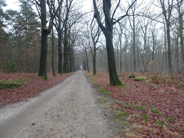 DSC00712